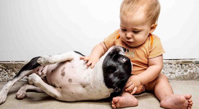 Bebê fazendo carinho em cachorro