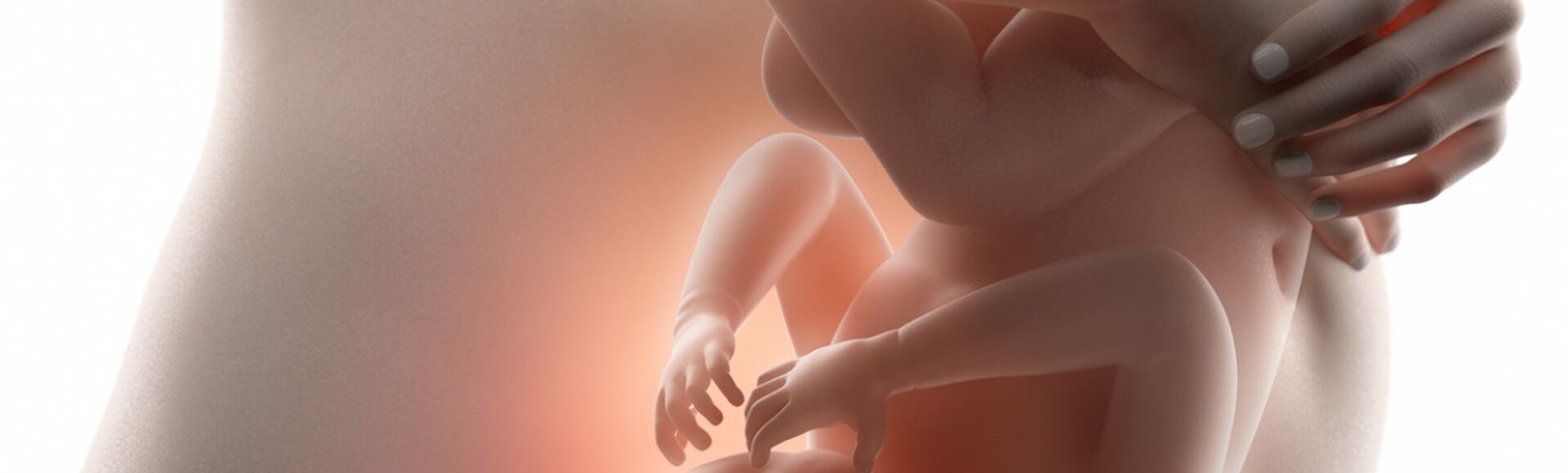 Ilustração de feto dentro da barriga da mãe