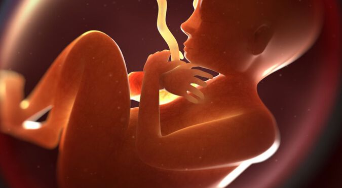 Ilustração de feto dentro da barriga